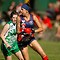 241362-tlssmallthumbnail.jpg